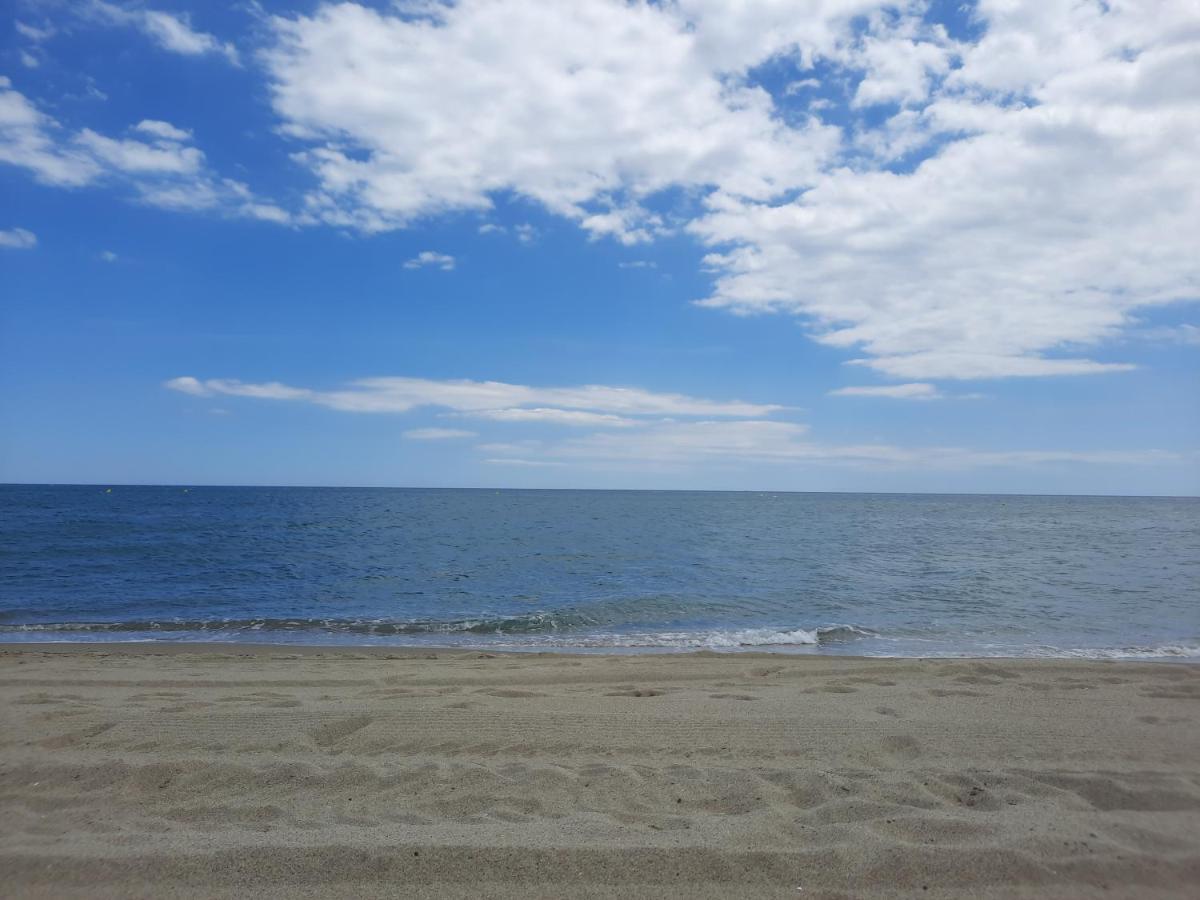Appartement Vue Mer, Acces Direct Plage, Parking Privatif Le Barcarès Exteriér fotografie